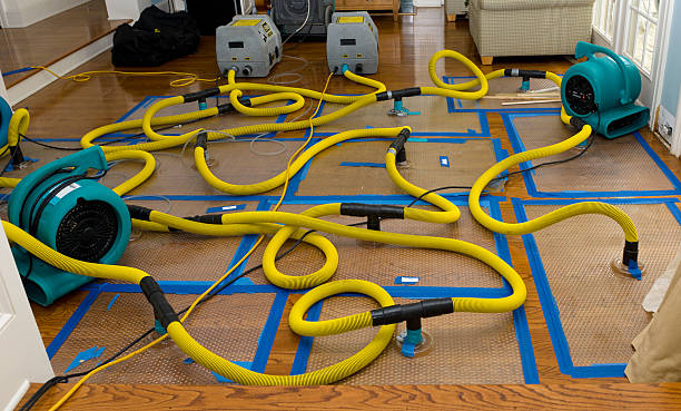 Professional Burst Pipe Water Damage technician working in Rogers, OH